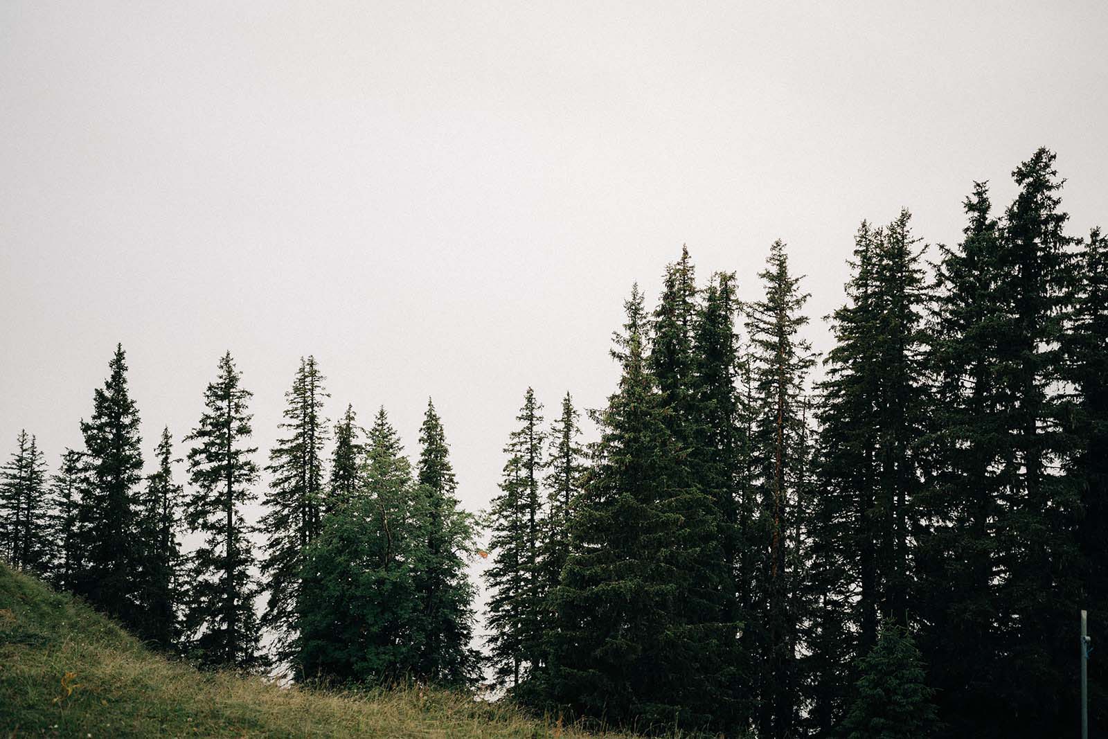 Elopement Wasserngrat Gstaad