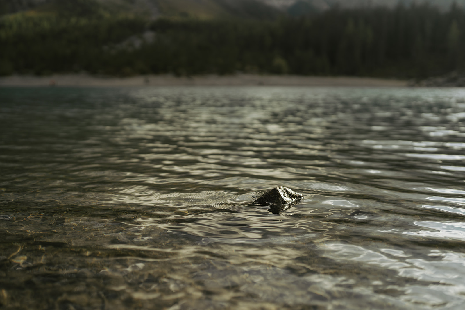Engagement Photoshooting Oeschinensee Switzerland