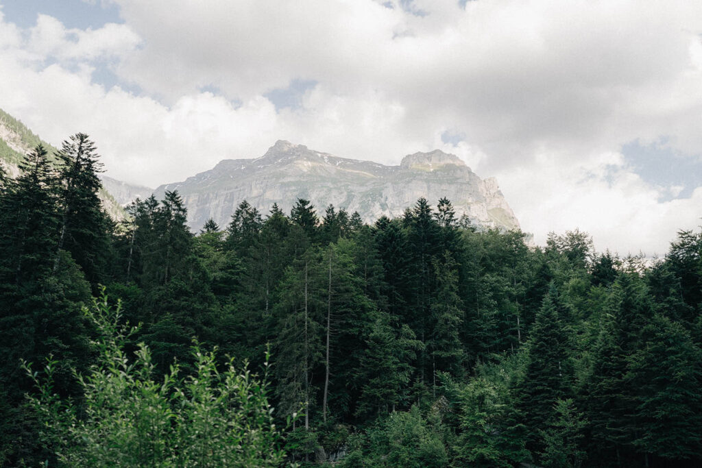 Ziviltrauung Hochzeit Blausee